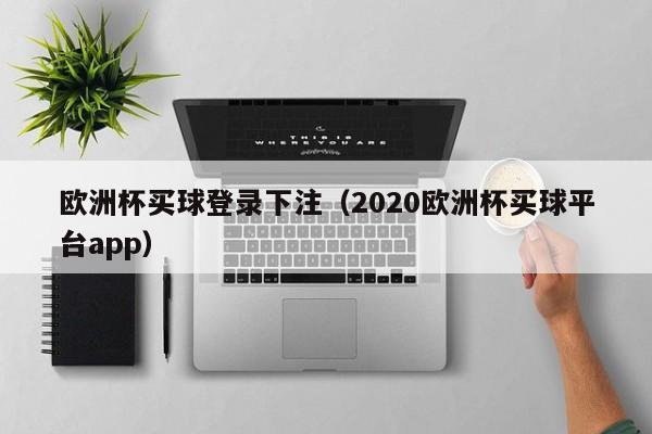 欧洲杯买球登录下注（2020欧洲杯买球平台app）